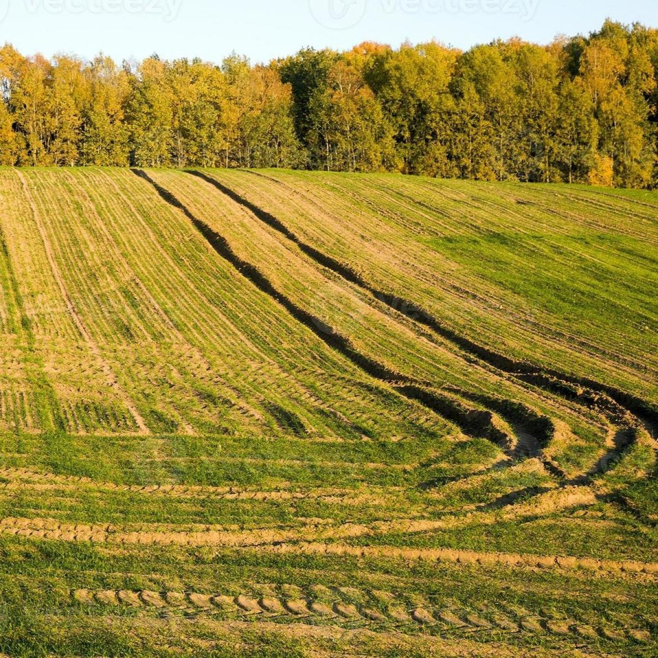 29 проектов для сел и станиц реализуют в 2026 году на Кубани