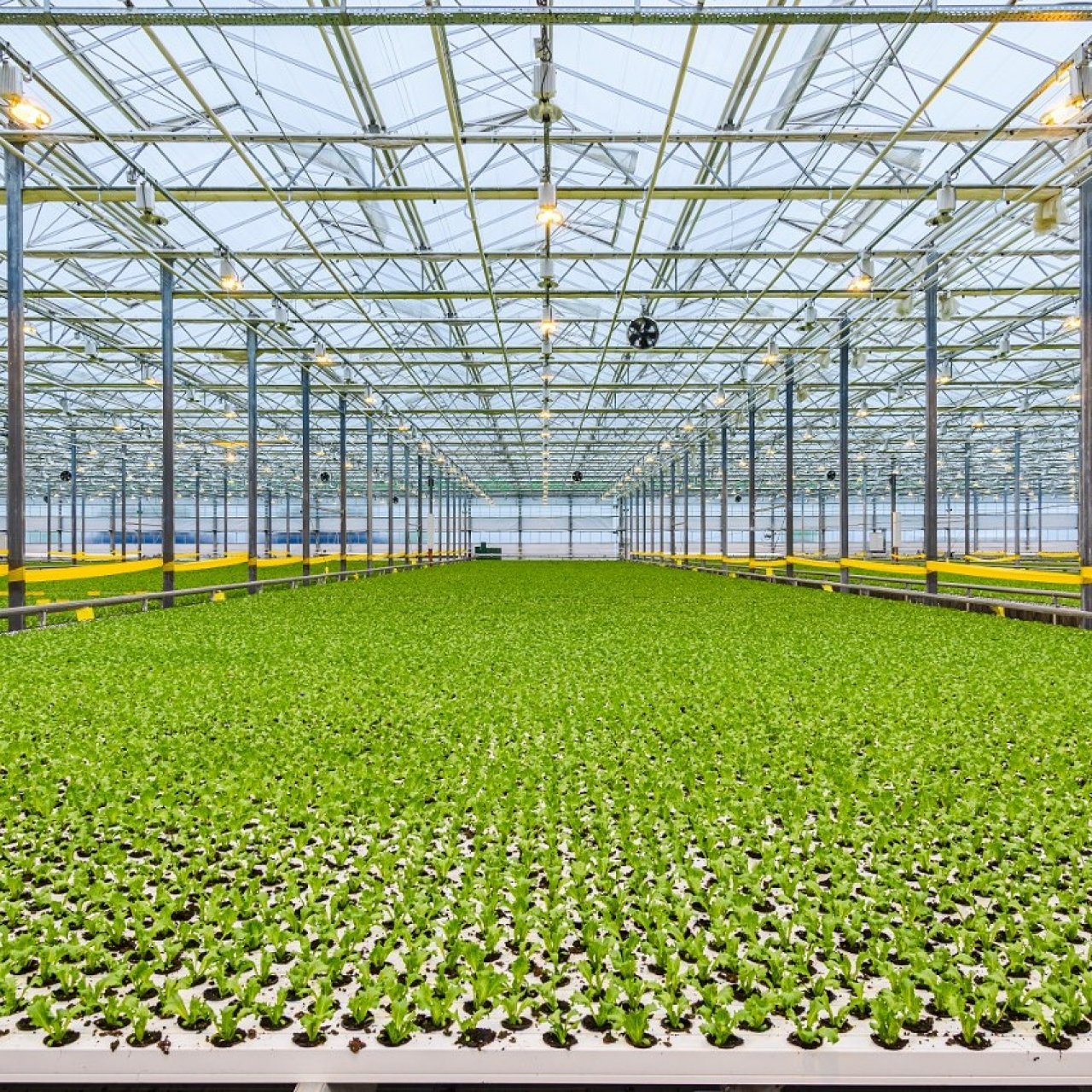 Агропредприятиям-экспортерам Кубани могут компенсировать затраты на логистику