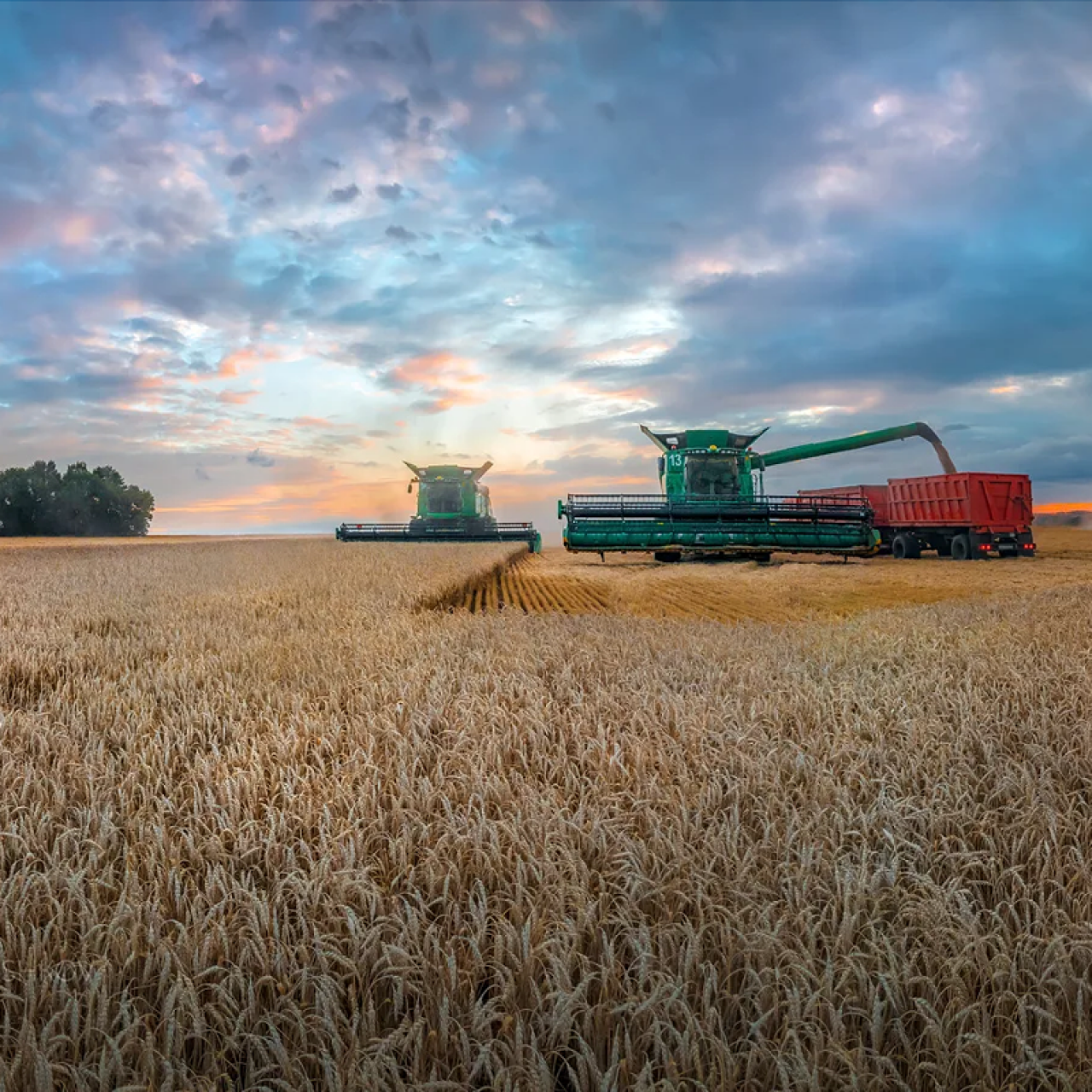 Белоруссия готова обеспечить Мордовию сельхозтехникой