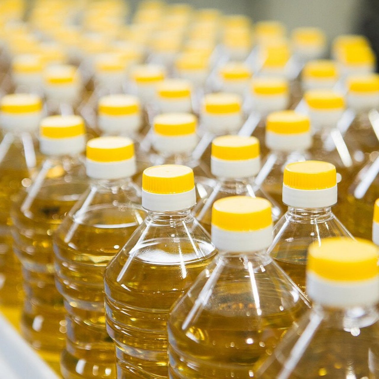 Экспорт кубанского растительного масла вырос на 18%