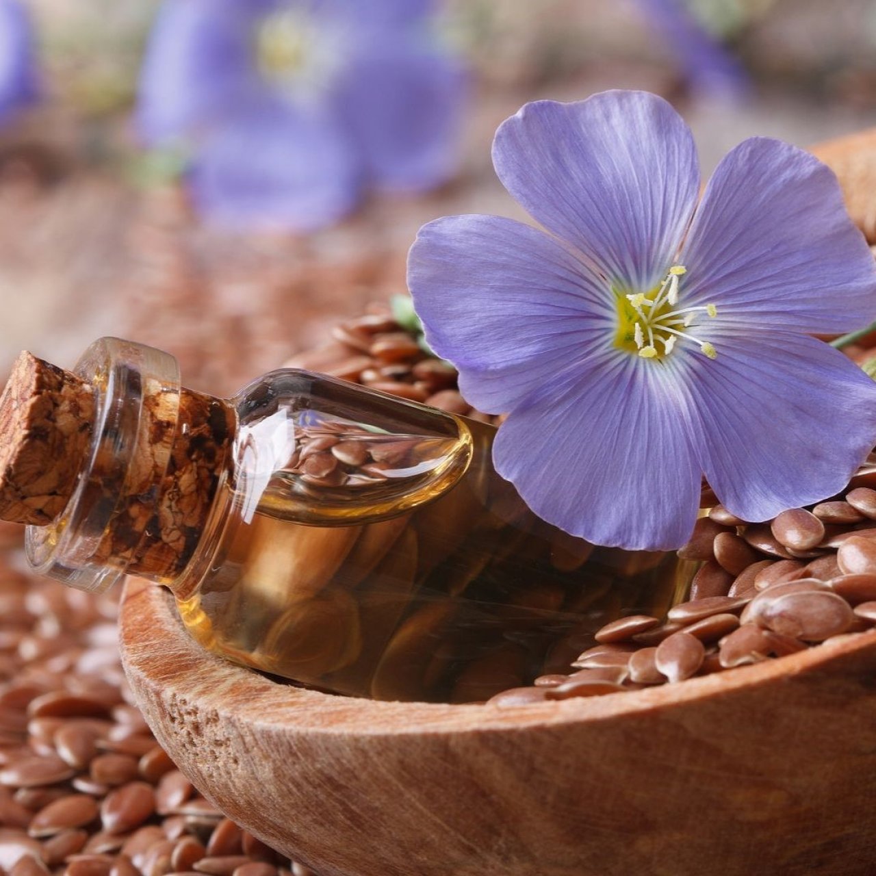 Экспорт льняного масла в Китай через порты Кубани превысил 7,6 тысячи тонн