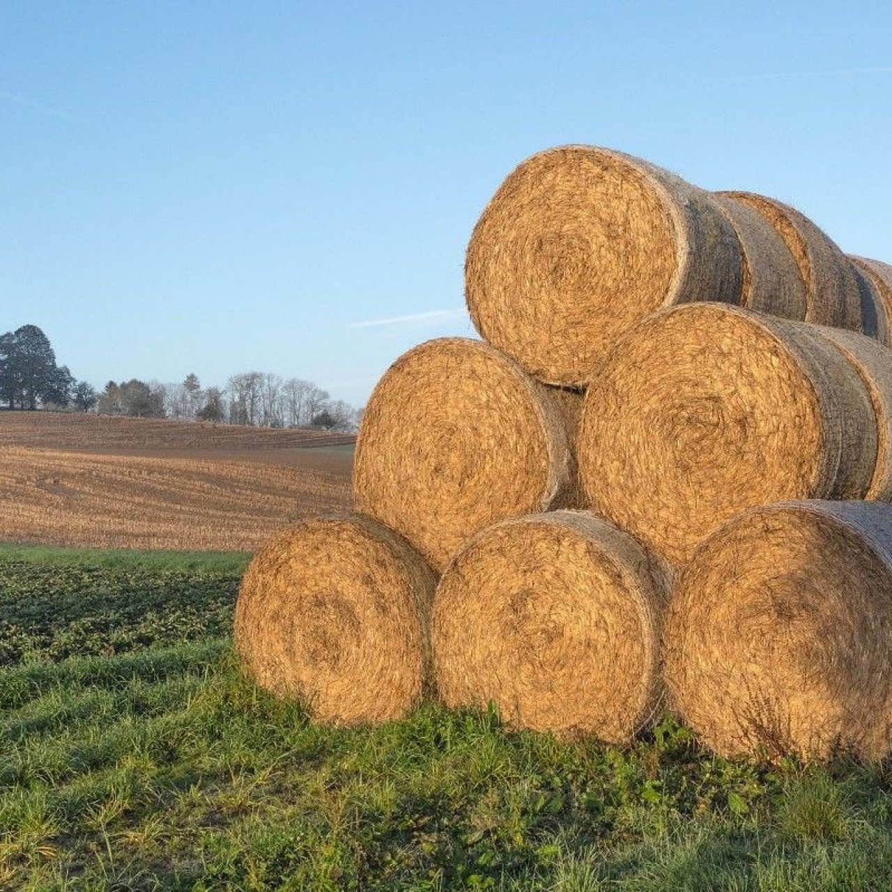 Экспорт несырьевой продукции АПК Кубани сократился на 8% в 2025 году