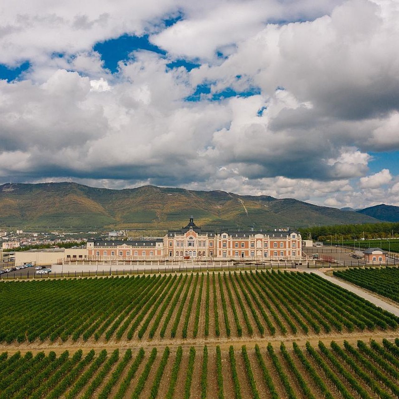 Кубань заняла половину рейтинга лучших виноделен России