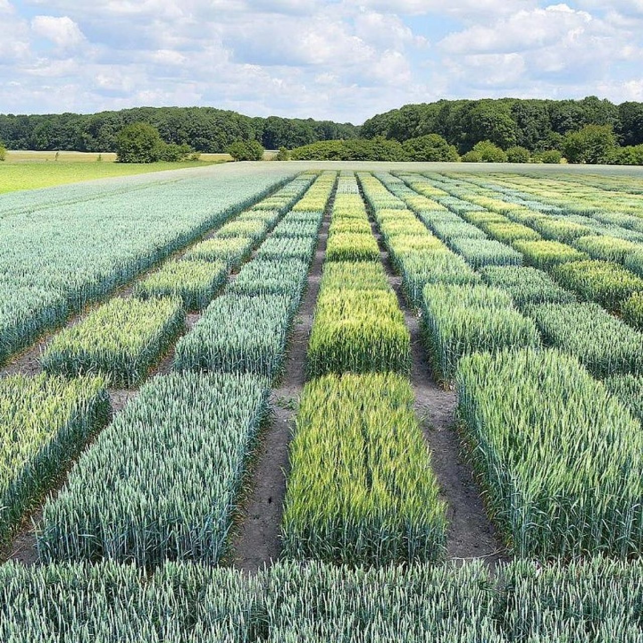 Курская область усиливает переработку и семеноводство за счёт инвестпроектов