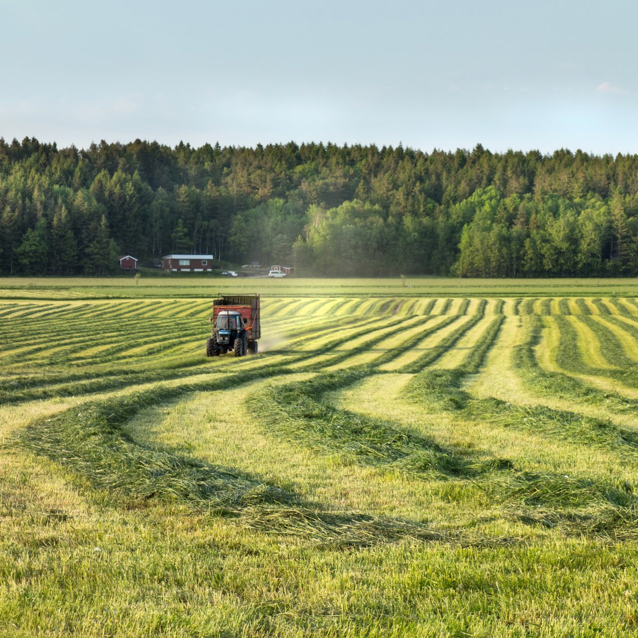 Мишустин рассказал о новых мерах поддержки малых агропредприятий