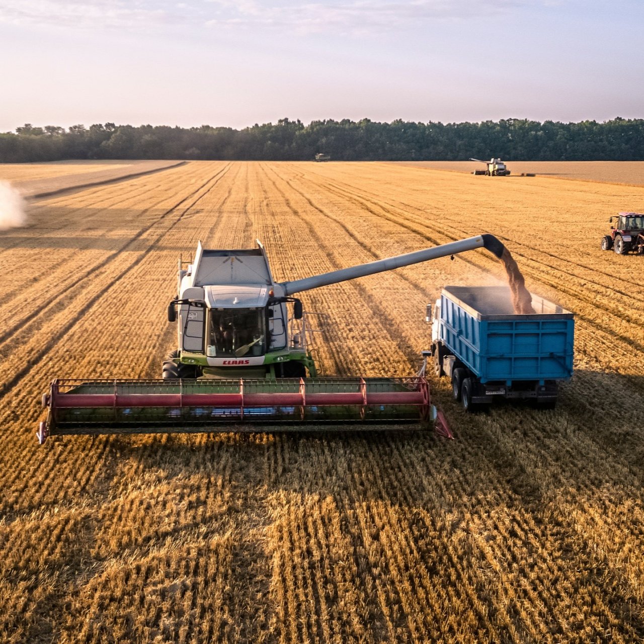 На поддержку малого агробизнеса в 2026 году направят 14,5 млрд рублей