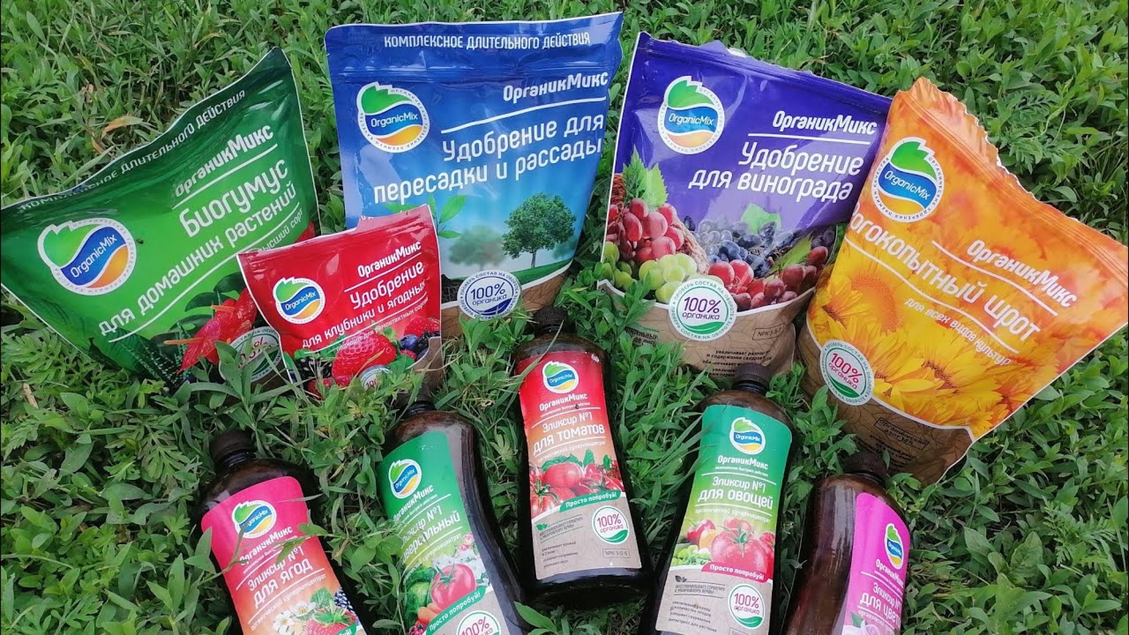 Как выбрать удобрения для растений?