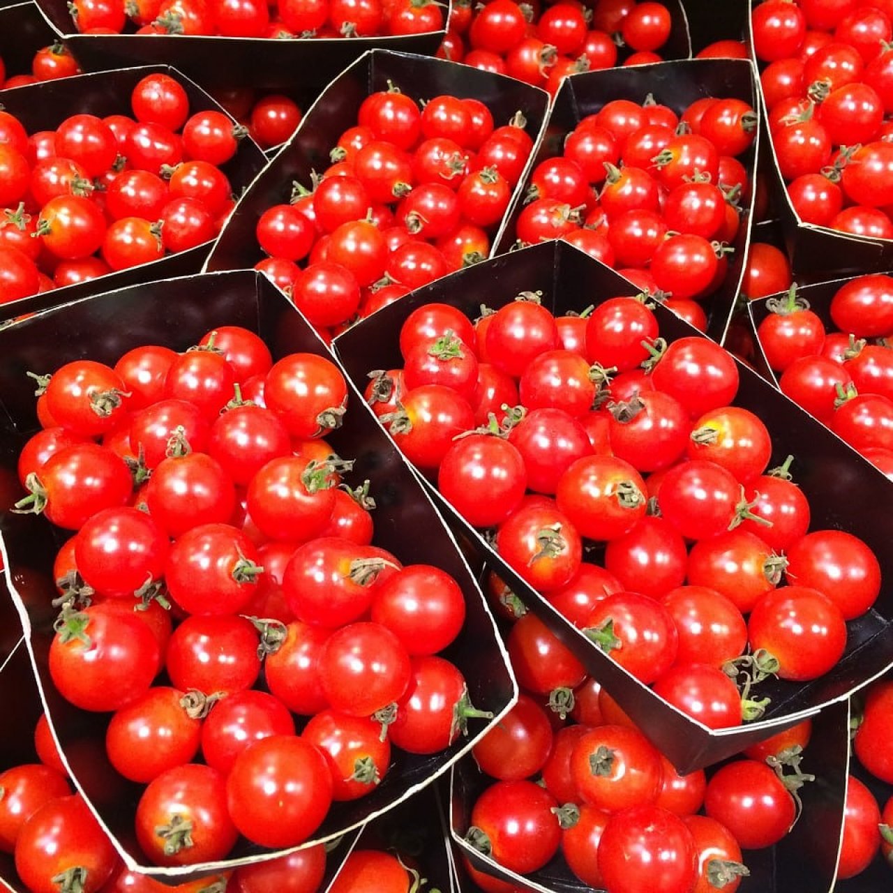 Под Воронежем построят пищевой кластер за 200 млн руб