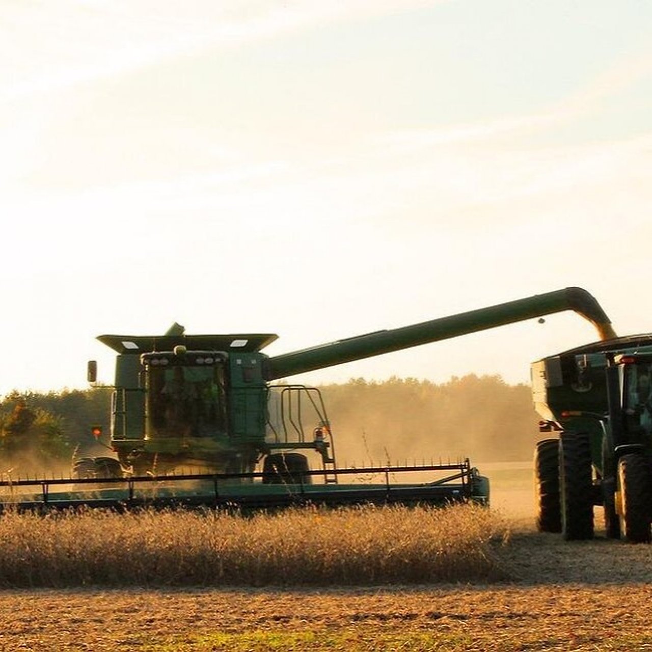Правительство расширило господдержку аграриев