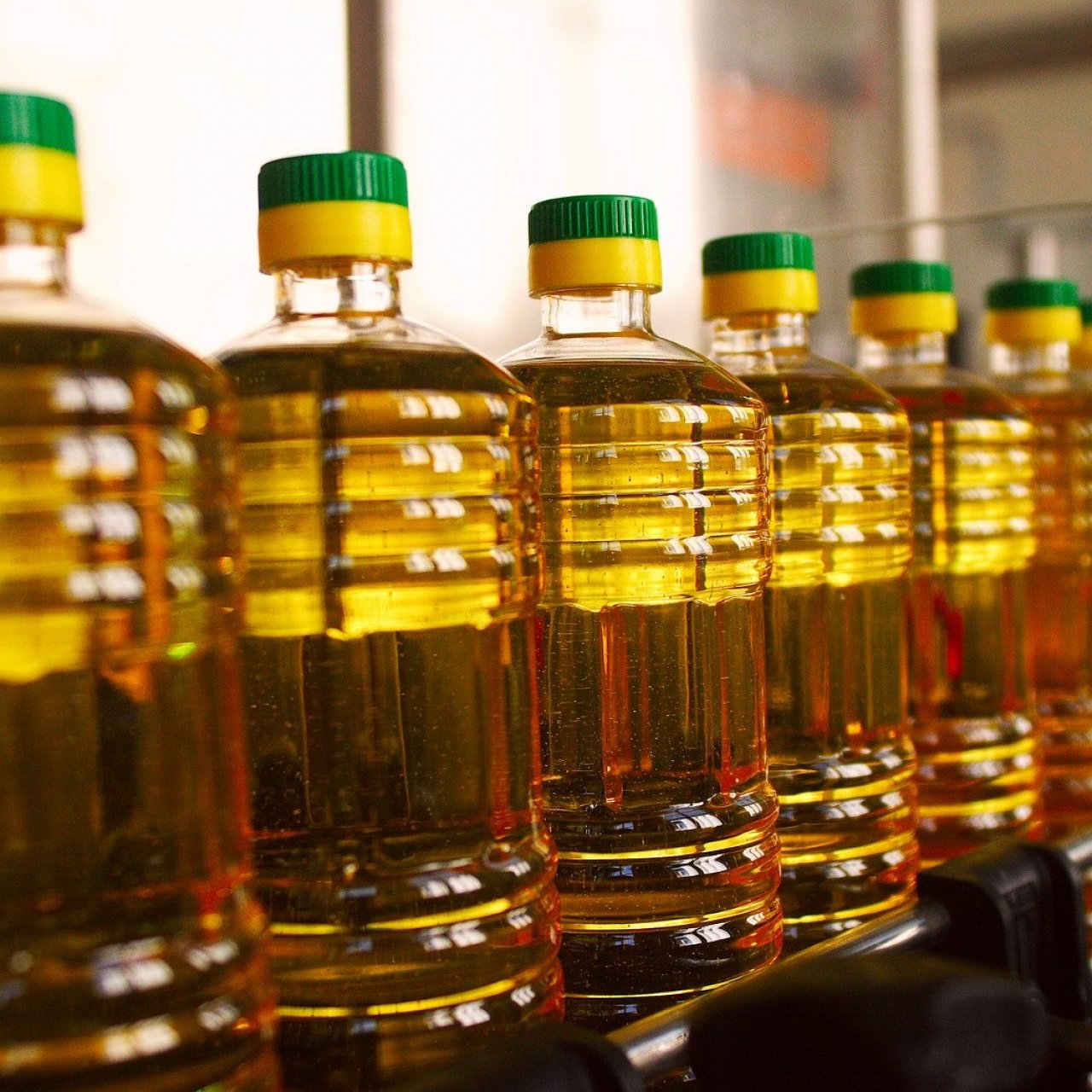 Производство растительных масел в России выросло почти на 6%
