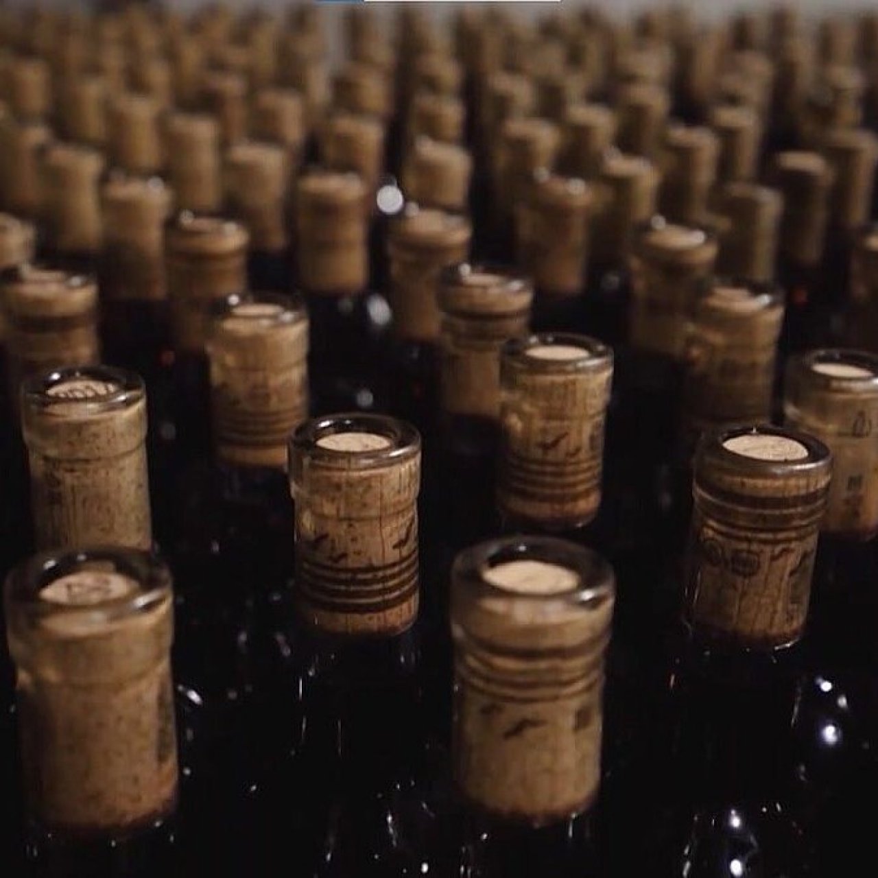 Производство вина вырастет до 24,6 млн декалитров на Кубани в 2025 году