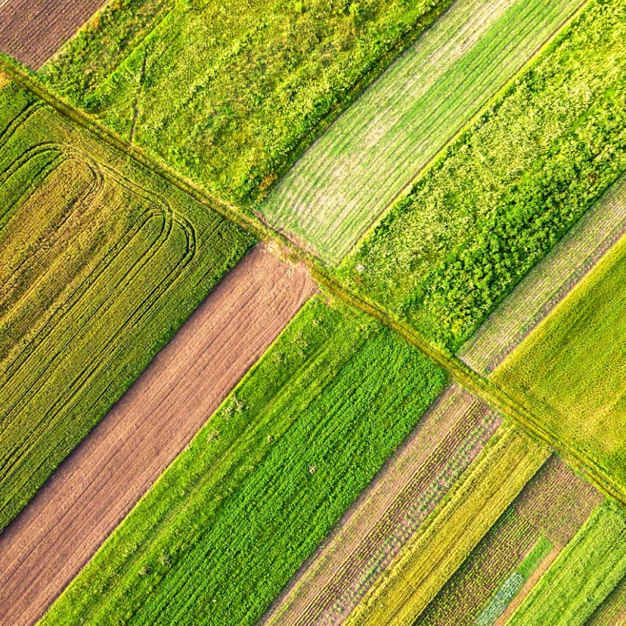 Российская разработка для кормозаготовки сократит потери фуража вдвое