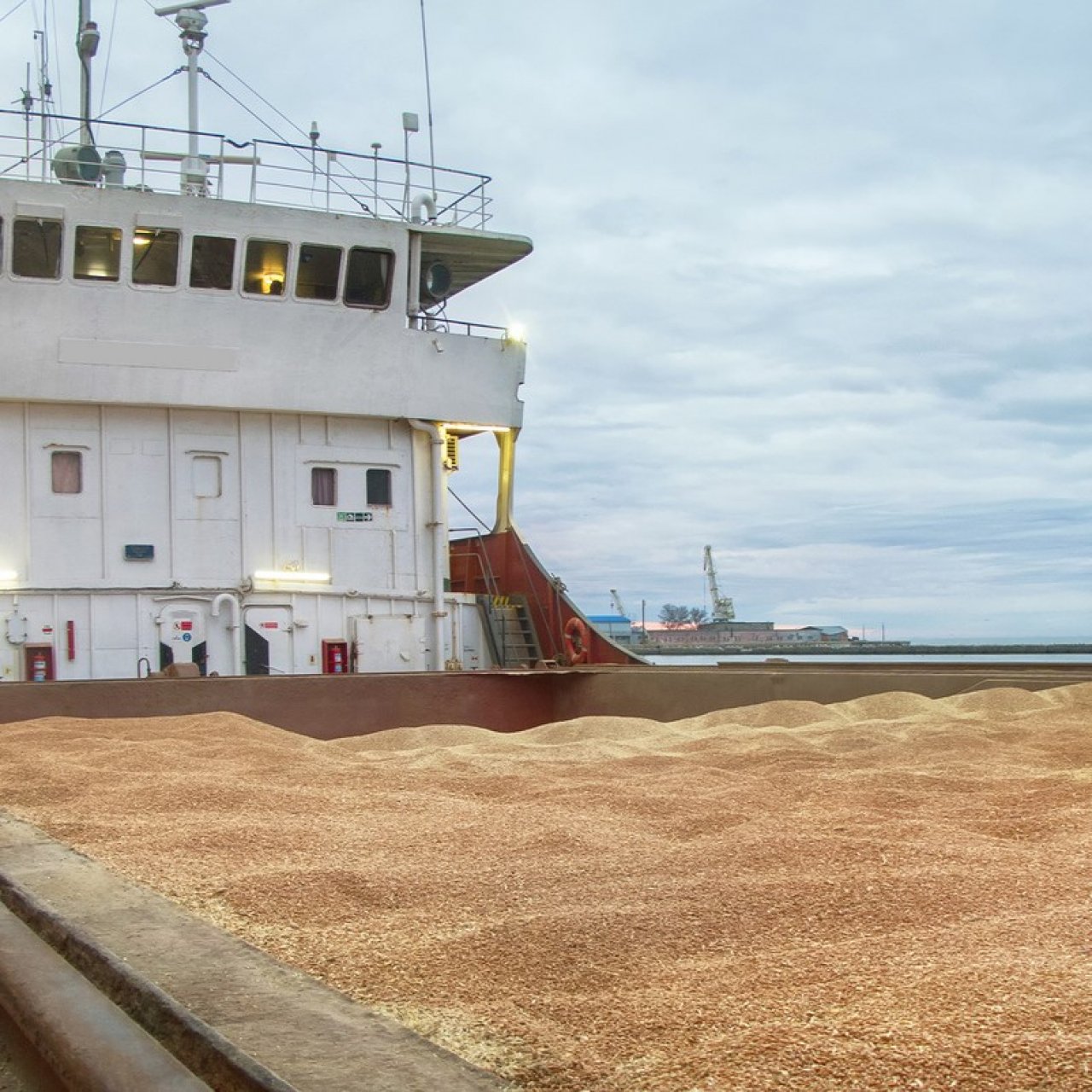 Россия отправила за рубеж 2,6 млн тонн зерна через порты Кубани в январе
