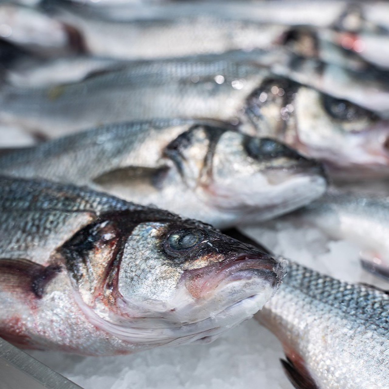 Россия увеличивает поставки рыбы и морепродуктов на мировые рынки