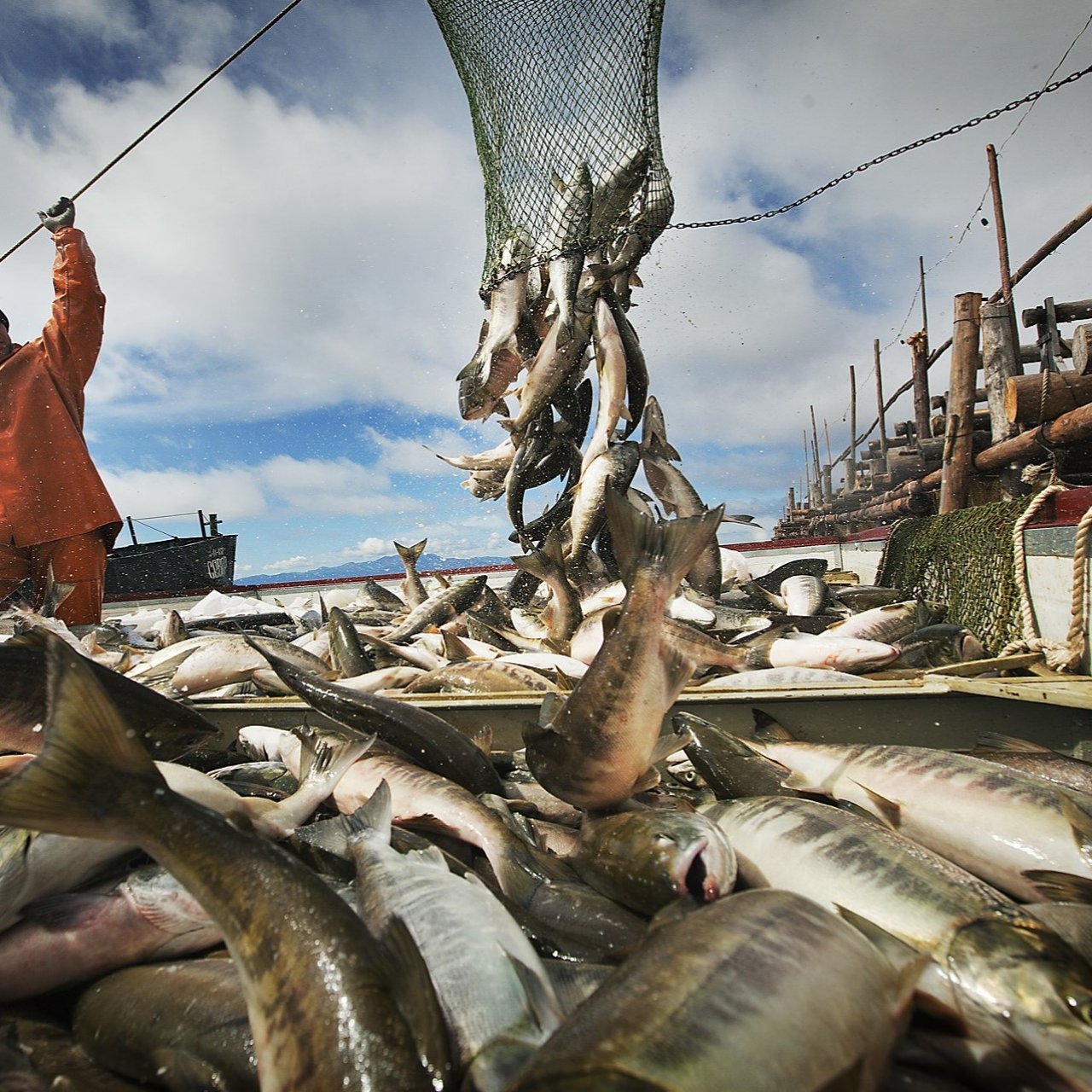 Рыбную отрасль Дальнего Востока ждут изменения - Путин дал поручения