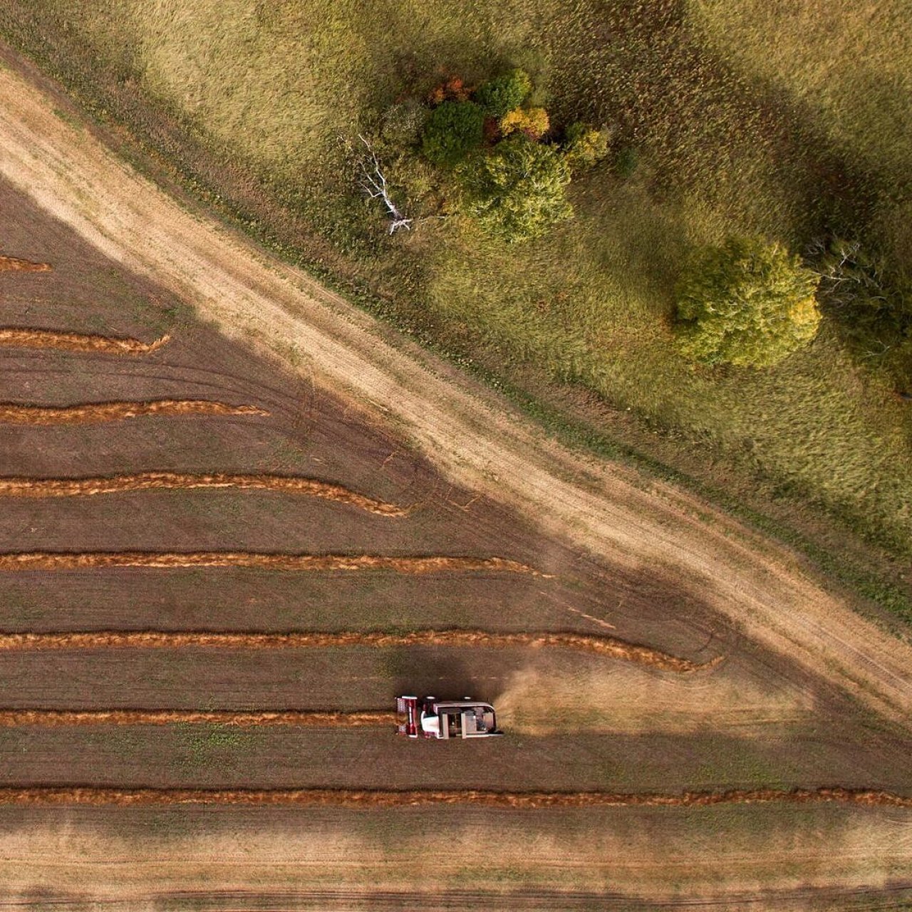 Сибирь наращивает экспорт агропродукции и расширяет географию поставок Сибирь наращивает экспорт агропродукции и расширяет географию поставок