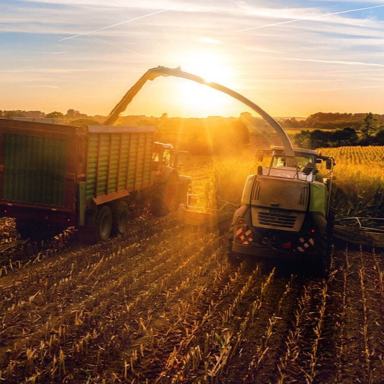 Успехи аграрного сектора России в 2026 году