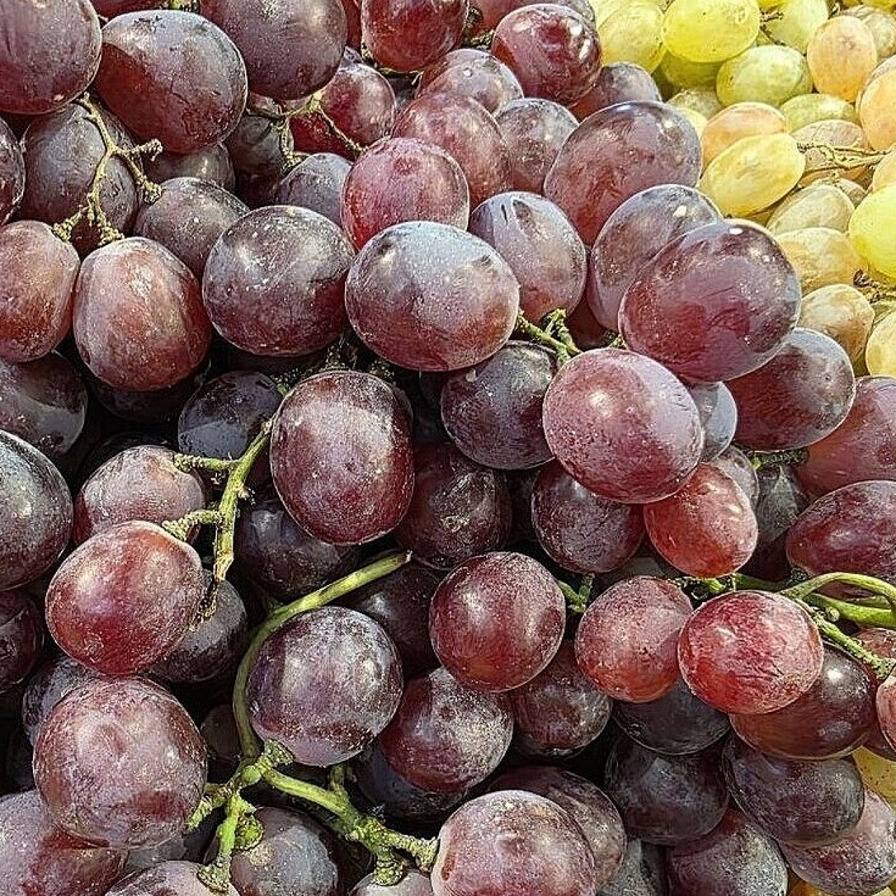 В Краснодарском крае для туристов открыты 35 виноделен