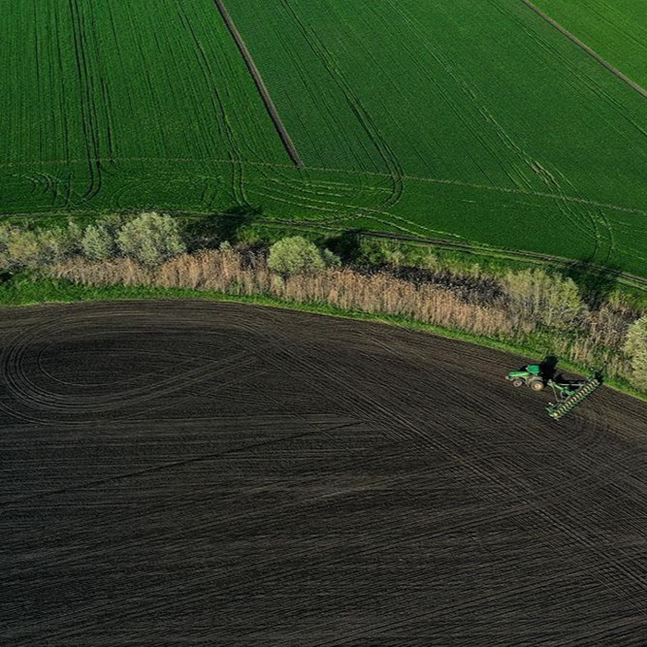 В оборот в России вернули 3,3 млн га сельхозземель