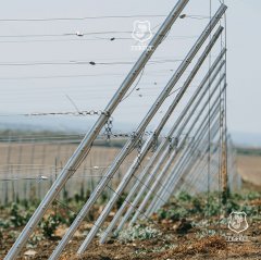 Виноградники под ключ производство шпалер и столбов